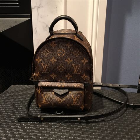 louis vuitton palm springs backpack australia|Louis Vuitton monogram mini backpack.